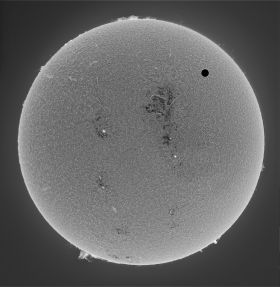 Surface Prominances and Venus