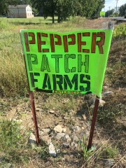 Pepper Patch Farms Camp Grounds