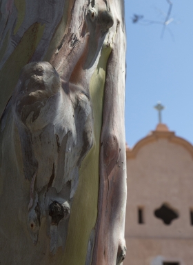 tree-church