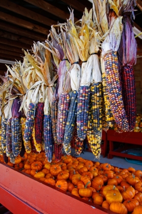 Candy Corn