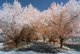 IR_Club_032023-9982