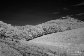 LakeBurtonIR-0354