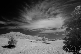 LakeBurtonIR-0358