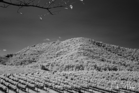 LakeBurtonIR-0364