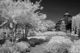 LakeBurtonIR-0379