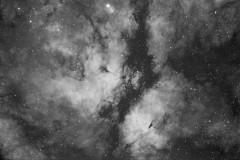 IC1318 - The Gamma Cygni Nebula in Ha