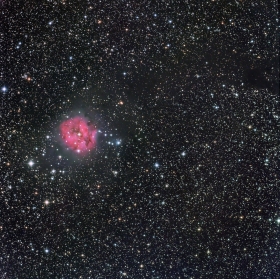 Cocoon Nebula in HaRGB