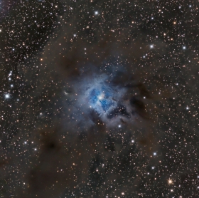 Iris Nebula NGC_7023 in LRBG