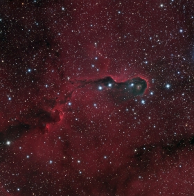 Elephant Trunl Nebula 0 VDB_142 in Ha LRGB