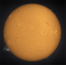 10-2-1-625-1_full-2-color2