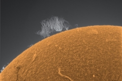 Sun 11-13-2011
